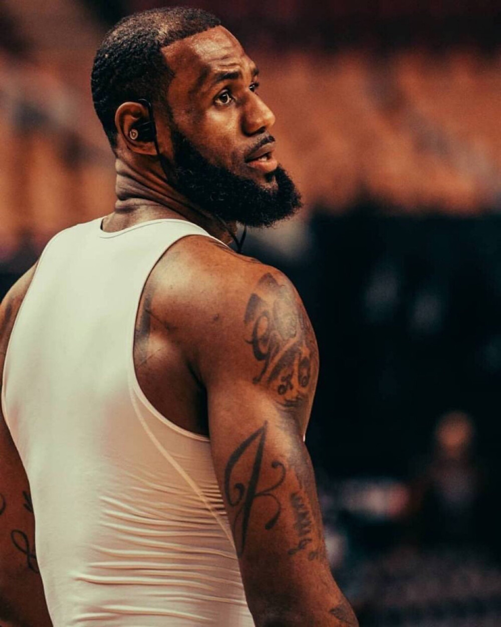 这是一款面 这是一款面